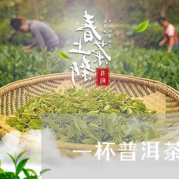 一杯普洱茶有几种/2023040108582