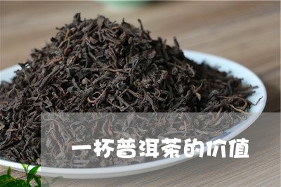 一杯普洱茶的价值/2023040128161