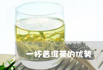 一杯普洱茶的优势/2023033162824