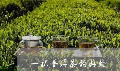 一杯普洱茶的好处/2023033124150