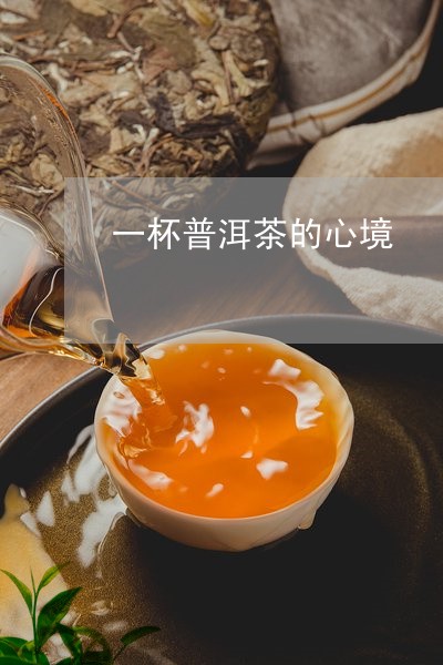 一杯普洱茶的心境/2023033104716