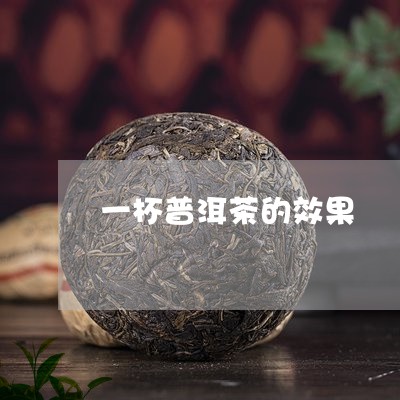 一杯普洱茶的效果/2023033111703