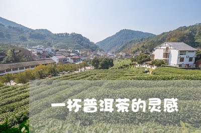 一杯普洱茶的灵感/2023033091706