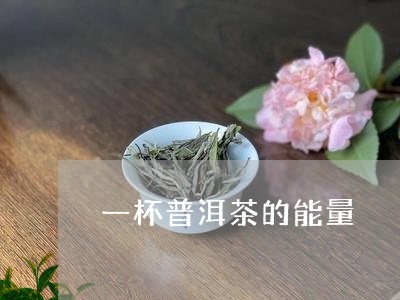 一杯普洱茶的能量/2023033065090