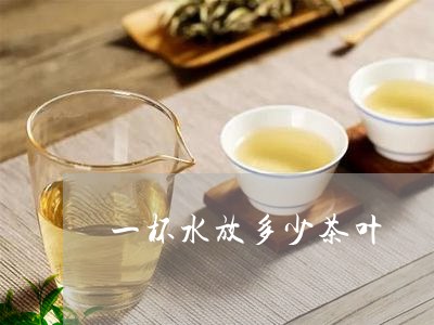 一杯水放多少茶叶/2023032628170