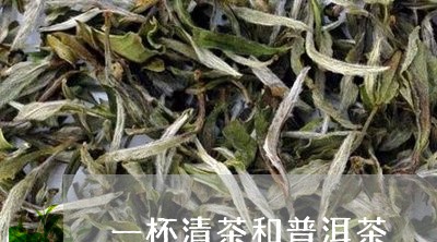 一杯清茶和普洱茶/2023033188474