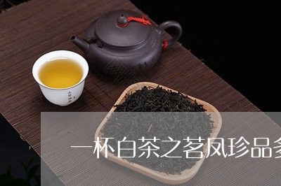 一杯白茶之茗凤珍品多少钱/2023040138184