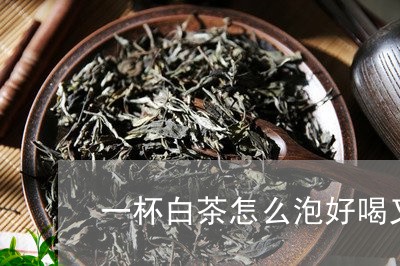 一杯白茶怎么泡好喝又简单/2023040160726