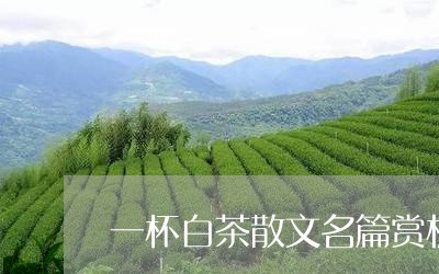 一杯白茶散文名篇赏析感悟/2023040101746