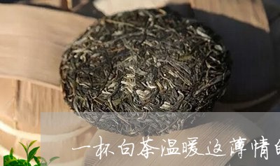 一杯白茶温暖这薄情的世界/2023040194916