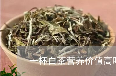 一杯白茶营养价值高吗/2023040161585