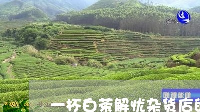 一杯白茶解忧杂货店的新宠/2023040173036