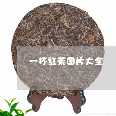 一杯红茶图片大全/2023032498383