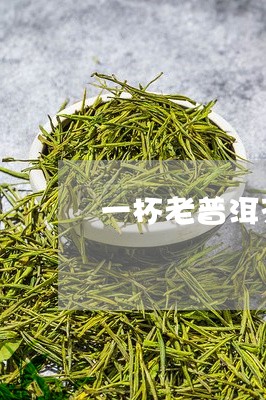 一杯老普洱茶价格/2023033193714