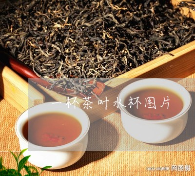 一杯茶叶水杯图片/2023032523938