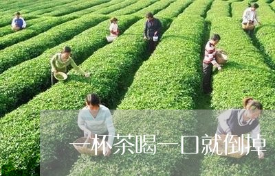 一杯茶喝一口就倒掉/2023031805048