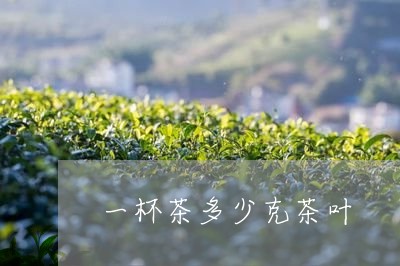 一杯茶多少克茶叶/2023032649270