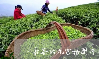 一杯茶的九宫格图片/2023041694959