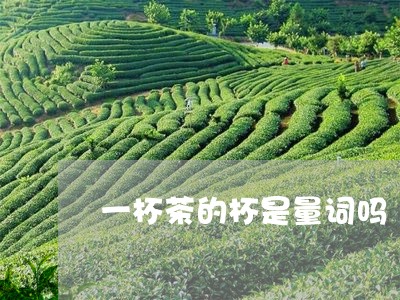 一杯茶的杯是量词吗/2023032137471