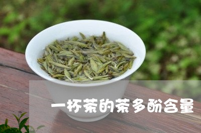 一杯茶的茶多酚含量/2023041623615