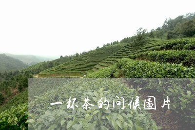 一杯茶的问候图片/2023032416292