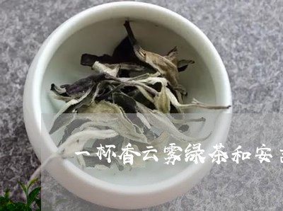 一杯香云雾绿茶和安吉白茶/2023040195539