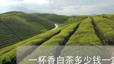 一杯香白茶多少钱一盒价格/2023040153615