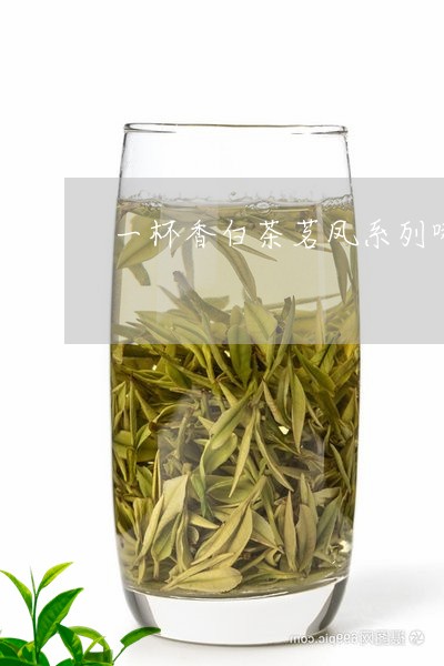 一杯香白茶茗凤系列哪个好/2023040132627