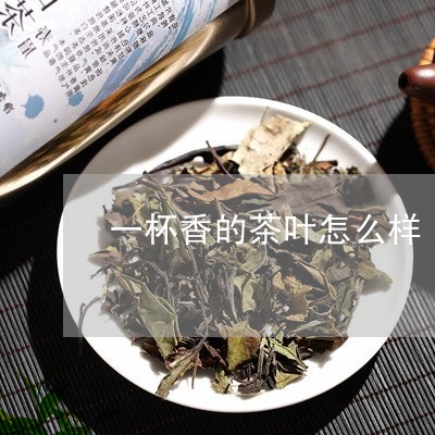 一杯香的茶叶怎么样/2023032286037