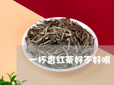 一杯香红茶好不好喝/2023041559580