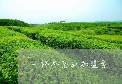 一杯香茶业加盟费/2023031771602