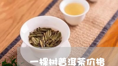 一棵树普洱茶价格/2023033080859