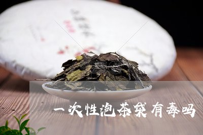 一次性泡茶袋有毒吗/2023041651615