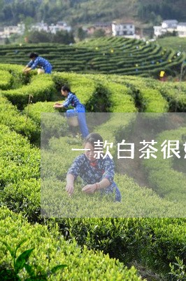 一款白茶很好闻但茶水没味/2023040102474