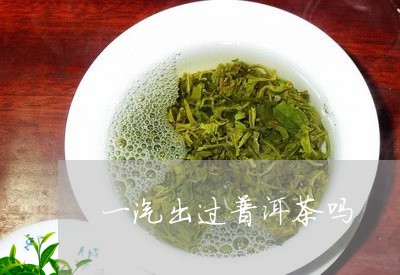 一汽出过普洱茶吗/2023033114857