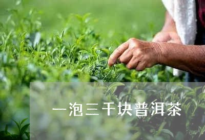 一泡三千块普洱茶/2023033133826