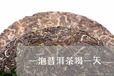 一泡普洱茶喝一天/2023033085351