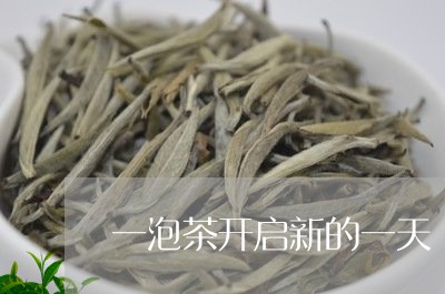 一泡茶开启新的一天/2023032064949