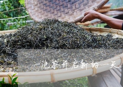 一泡茶开启新的一天/2023041695047