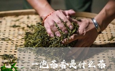 一泡茶香是什么茶/2023032549372