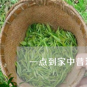 一点到家中普洱茶/2023041259371