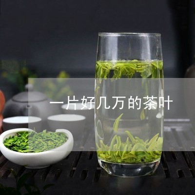 一片好几万的茶叶/2023032651683