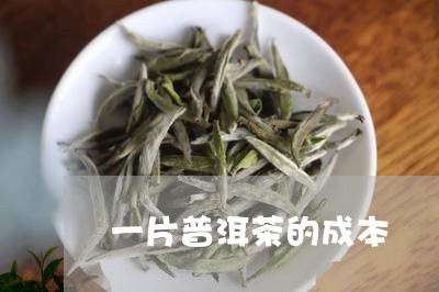 一片普洱茶的成本/2023033148264