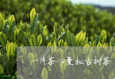 一片茶心曼松古树茶/2023031854804