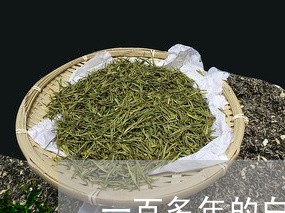 一百多年的白茶树值多少钱/2023040104947