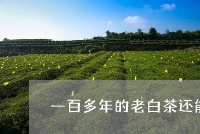 一百多年的老白茶还能喝吗/2023040192794