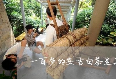 一百多的安吉白茶是真的吗/2023040185038