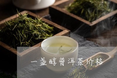 一盏醇普洱茶价格/2023033075059