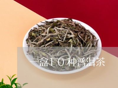 一盒10种普洱茶/2023033026957