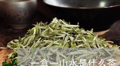 一盒一山水是什么茶/2023041555159